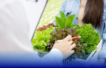 La importancia de la norma ISO 22000:2018 para la gestión de la inocuidad de alimentos y su integración con los estándares BRC, FSSC 22000, IFS y SQF