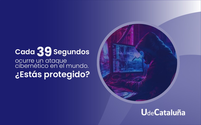 Pruebas de Penetración: Aprende, Protege y Fortalece Sistemas